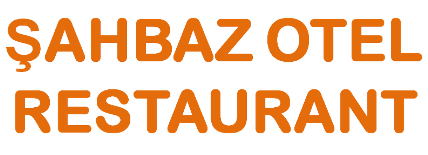 Hotel Web Site Satışı